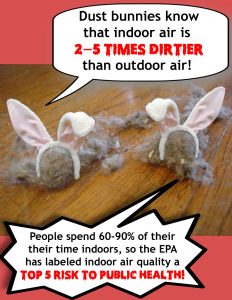 indoor air quality dust bunnies