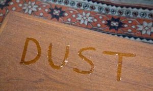 Dust & Lint