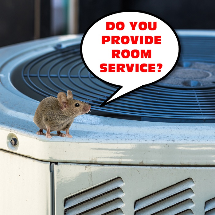 Cover Your AC for Winter, Create a Mouse Hotel