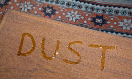 Dust & Lint